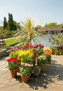 Scenic view of a display of spring tulips with a small lake and water fountain in the background