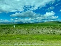 The scenic view driving to Waterton Lake National Park