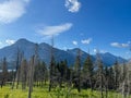 The scenic view driving through Waterton Lake National Park