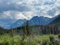 The scenic view driving through Waterton Lake National Park