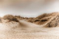 Scenic view of dunes on the Danish North Sea coast in a soft, sepia focus