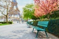 Scenic view of the Eiffel tower with cherry blossom trees in bloom in Paris, France Royalty Free Stock Photo