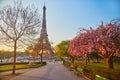 Scenic view of the Eiffel tower with cherry blossom trees in bloom in Paris, France Royalty Free Stock Photo