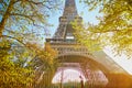 Scenic view of the Eiffel tower with fruit trees in bloom in Paris, France Royalty Free Stock Photo