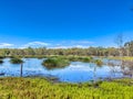 Scenic view of Emmaville, Australia with a tranquil swampland