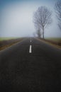 Scenic view of empty road Royalty Free Stock Photo