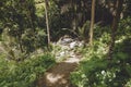 scenic view of empty steps and trees with green foliage around, Bali, Indonesia Royalty Free Stock Photo