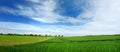 Scenic view of endless lush pastures and farmlands of Ireland. Irish countryside with emerald green fields and meadows. Rural Royalty Free Stock Photo