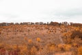 Scenic view of fall winding hiking trail through the field