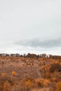 Fall winding hiking trail through the forests, beautiful view of nature