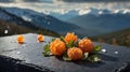 Ripe Cloudberries on Dark Stone with Mountain View Royalty Free Stock Photo