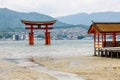 Scenic view of a floating Torii gate of the Itsukushima Shrine in Miyajima island Royalty Free Stock Photo