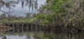 Scenic view of Florida's Fisheating Creek