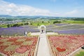 Scenic view of Flower and Lavender filed in summer at Hinode Farm, Furano, Hokkaido, Japan Royalty Free Stock Photo