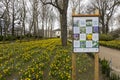 Scenic view of flowers in Jubelpark in Brussels