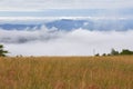 Fog and Grassy Meadows along the Appalachian Trail in Virginia Royalty Free Stock Photo