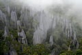 A scenic view of the foggy Pinnacles in Borneo,Malaysia