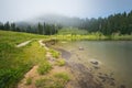 Scenic view of the forest,meadow and lake with fog on the day in Tipzoo lake,mt Rainier,Washington,USA.. Royalty Free Stock Photo