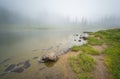 Scenic view of the forest,meadow and lake with fog on the day in Tipzoo lake,mt Rainier,Washington,USA.. Royalty Free Stock Photo