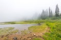 Scenic view of the forest,meadow and lake with fog on the day in Tipzoo lake,mt Rainier,Washington,USA.. Royalty Free Stock Photo