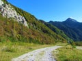 Scenic view of forest and rock covered mountain ridge above Ljubelj