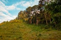 Scenic view of a forest at Uluguru Nature Forest Reserves in Uluguru Mountains, Morogoro Region, Tanzania