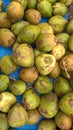 Scenic view of fresh green tender coconuts, Cocos nucifera