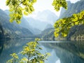 Scenic view of the Front Gosau Lake near the town of Gosau, Austria with leaves in the foreground