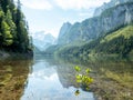 Scenic view of the Front Gosau Lake near the town of Gosau, Austria surrounded by lush green forests