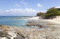 Grand Cayman Seven Mile Beach Rocky Shore Royalty Free Stock Photo