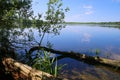 Scenic view on german lake with forest and tree roots in water in summer against blue sky - Krickenbecker Seen glabbacher bruch