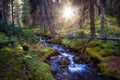 Scenic View of Glacier River in the Green Canadian Rain Forest.