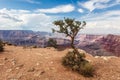 Scenic view of the Grand Canyon and Colorado River from the South Rim Royalty Free Stock Photo
