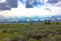 Scenic view of the grand tetons