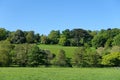 Green Fields Surround by Leafy Trees Royalty Free Stock Photo