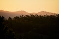 Scenic view of green forest with silhouette of hills under a yellow-lighted sky on the background