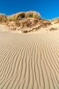 Scenic view of green grass and sandy dunes against a bright blue sky, Denmark Royalty Free Stock Photo