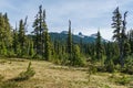 Scenic view of green medow with distant Black Tusk mountain summer morning in garibaldi provincial park canada Royalty Free Stock Photo