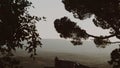 Scenic view of green plants in hills of Tuscany at golden sunset Royalty Free Stock Photo