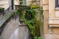 Scenic view of plants on a stone building in Brooklyn, Brownstone park, New York on a sunny day Royalty Free Stock Photo