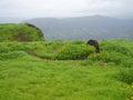 Scenic view of greenery landscape and hills and blue sky