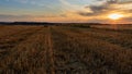 Scenic view of a harvested agricultural field with hay bales during sunset in Mockmuhl, Germany Royalty Free Stock Photo