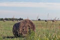 Scenic view of a haybale placed in a massive hay field in the countryside