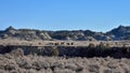 Wild horses graxe from a distance.