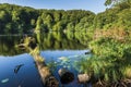 Scenic view of the Herthasee at Jasmund National Park.