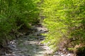 Foelzkogel - Scenic view of idyllic river Foelzbach in Hochschwab mountain range, Styria, Austria. Hiking trail in alpine forest Royalty Free Stock Photo