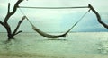 Scenic view of an inviting and tempting sea hammock amazing set up on tree trunks at tropical island beach in relaxing holidays