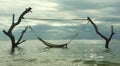 Scenic view of an inviting and tempting sea hammock amazing set up on tree trunks at tropical island beach in relaxing holidays