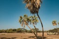 Scenic view of Kalacha Oasis in North Horr, Marsabit, Kenya