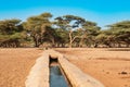 Scenic view of Kalacha Oasis in North Horr, Marsabit, Kenya